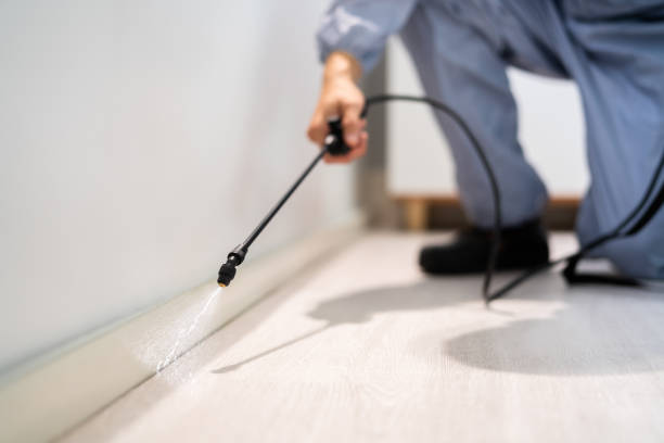 Licensed Pest Control service in Wyanet, IL - Show Me Pest Control
