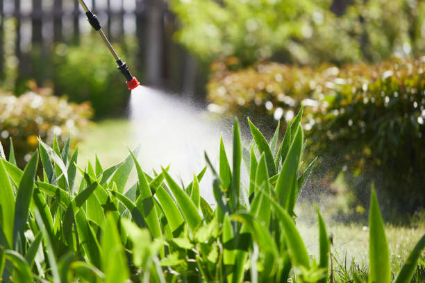 24/7 Emergency Mosquito Control experts in Wyanet, IL